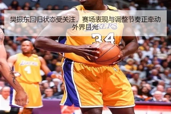 樊振东回归状态受关注，赛场表现与调整节奏正牵动外界目光